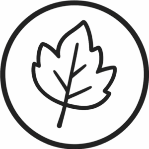 Prespa light mode logo 