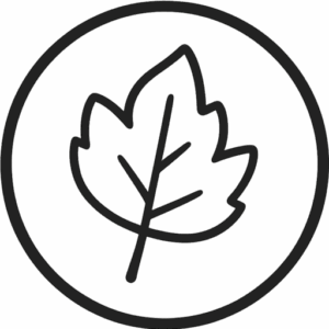 Prespa light mode logo 